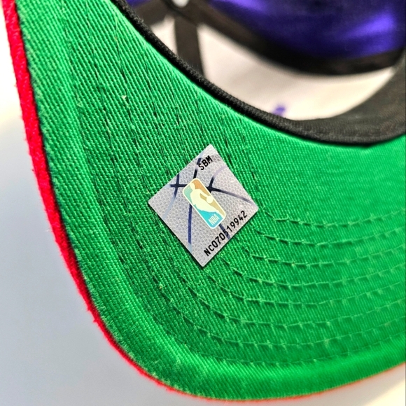 🇨🇦 Mitchell & Ness NBA Toronto Raptors Hat - Picture 12 of 13